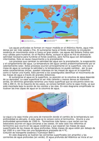 Las aguas profundas se forman en mayor medida en el Atlántico Norte, agua más
densa por ser más salada y fría. Al sumergirse hacia el fondo mantiene la circulación
oceánica en movimiento como si fuera un gran pistón. Las aguas del Océano Índico son
muy cálidas para hundirse. En el Pacífico Norte, aunque el agua es fría no alcanza la
salinidad necesaria para hundirse al fondo oceánico, pero forma agua con densidades
intermedias. Esto es causa mayormente a la precipitación.
       Los procesos que cambian la salinidad del agua son la precipitación, la evaporación
y el congelamiento del agua. La temperatura del agua cambia predominantemente por el
calentamiento solar. Estos procesos ocurren principalmente en la superficie. Una vez la
masa de agua se sumerge la salinidad y la temperatura no puede cambiar, por lo que
estas características únicas quedan impresas en las masas de agua en la superficie
como si fueran una huella. Esto permite a los oceanógrafos identificar el movimiento de
las masas de agua a través de grandes distancias.
       Al sumergirse el agua en la superficie, su posición en la columna de agua depende
de su densidad. La capa superficial al ser más caliente y menos densa se mantiene
arriba. En términos generales tenemos una masa superficial que se encuentra entre los
100 a 200 m. En la mayoría de los casos, se conoce también como la capa mixta, ya que
está mezclada bajo la acción de los vientos y las olas. En este diagrama simplificado se
ilustran las tres capas de agua en la columna de agua.




Le sigue a la capa mixta una zona de transición donde el cambio de la temperatura con
profundidad es abrupto. A esta capa se le conoce como el termoclino. Ocurre a una
profundidad aproximada de 1500 m. Termoclinos más llanos y que varían con las
estaciones ocurren en agua cercanas a las costas. En este caso nos referimos al
termoclino que ocurre en las aguas oceánicas y que separan las masas de agua
superficiales de las masas de agua profundas. Estas masas de agua están por debajo de
los 1500 m y son frías con una temperatura promedio de 4 ºC.
Cinturón de transporte oceánico (“Conveyor Belt”)
      En este diagrama se ilustran las corrientes superficiales (en amarillo) y las
corrientes de agua profundas (en verde). El agua profunda del Atlántico se inicia al sur
                                            8
 