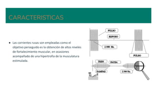 CARACTERISTICAS
● Las corrientes rusas son empleadas como el
objetivo perseguido es la obtención de altos niveles
de fortalecimiento muscular, en ocasiones
acompañado de una hipertrofia de la musculatura
estimulada.
 