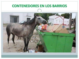 CONTENEDORES EN LOS BARRIOS
 