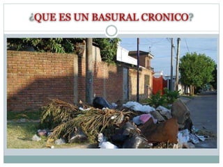 ¿QUE ES UN BASURAL CRONICO?
 