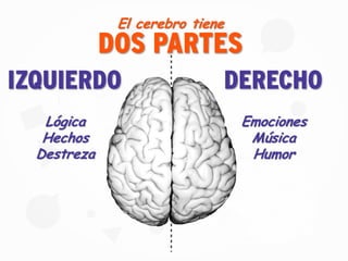 DOS PARTES
El cerebro tiene
IZQUIERDO DERECHO
Lógica
Hechos
Destreza
Emociones
Música
Humor
 