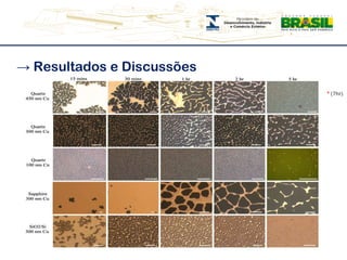 -> Resultados e Discussões* (7hr)