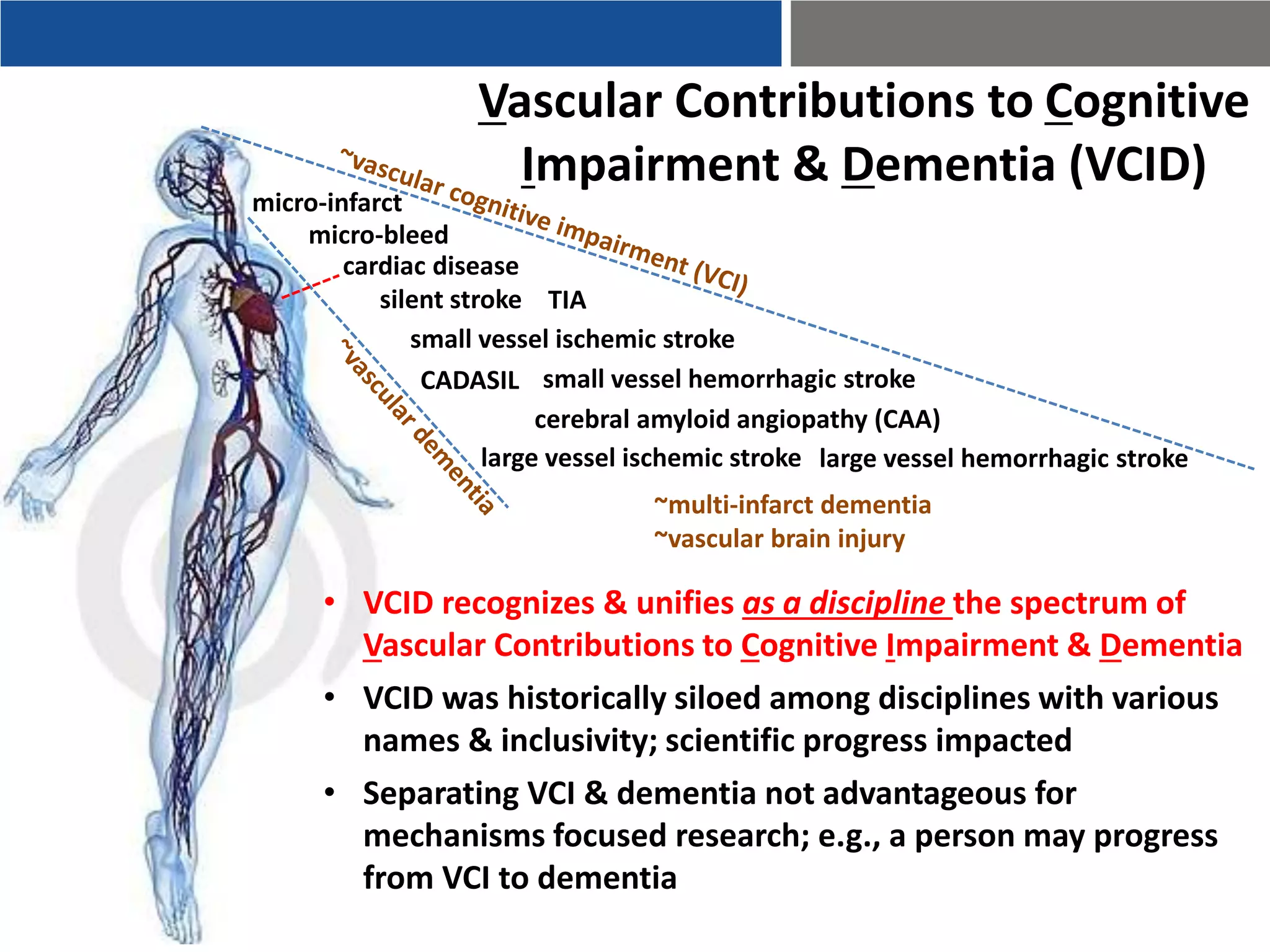 Vascular Contributions to Cognitive
Impairment & Dementia (VCID)
cardiac disease
micro-infarct
micro-bleed
small vessel ischemic stroke
silent stroke
small vessel hemorrhagic strokeCADASIL
cerebral amyloid angiopathy (CAA)
large vessel ischemic stroke
TIA
large vessel hemorrhagic stroke
• VCID recognizes & unifies as a discipline the spectrum of
Vascular Contributions to Cognitive Impairment & Dementia
• VCID was historically siloed among disciplines with various
names & inclusivity; scientific progress impacted
• Separating VCI & dementia not advantageous for
mechanisms focused research; e.g., a person may progress
from VCI to dementia
~multi-infarct dementia
~vascular brain injury
 