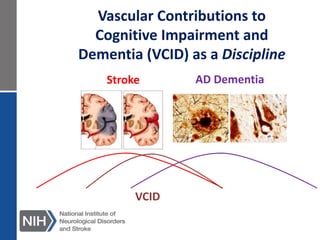 Stroke AD Dementia
VCID
Vascular Contributions to
Cognitive Impairment and
Dementia (VCID) as a Discipline
 