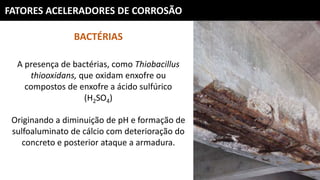 FATORES ACELERADORES DE CORROSÃO
BACTÉRIAS
A presença de bactérias, como Thiobacillus
thiooxidans, que oxidam enxofre ou
compostos de enxofre a ácido sulfúrico
(H2SO4)
Originando a diminuição de pH e formação de
sulfoaluminato de cálcio com deterioração do
concreto e posterior ataque a armadura.
 