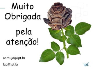 Muito
Obrigada
pela
atenção!
aaraujo@ipt.br
lcp@ipt.br
 