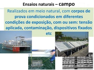 Ensaios naturais – campo
Realizados em meio natural, com corpos de
prova condicionados em diferentes
condições de exposição, com ou sem: tensão
aplicada, contaminação, dispositivos fixados
etc
 