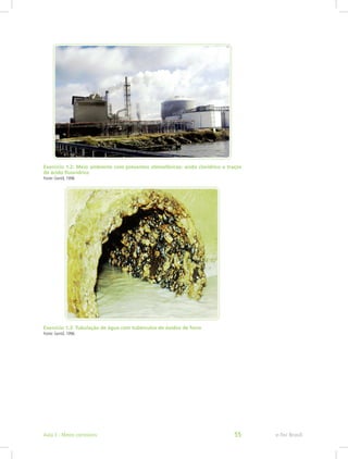 Exercício 1.2: Meio ambiente com poluentes atmosféricos: ácido clorídrico e traços
de ácido fluorídrico
Fonte: Gentil, 1996
Exercício 1.3: Tubulação de água com tubérculos de óxidos de ferro
Fonte: Gentil, 1996
e-Tec BrasilAula 3 - Meios corrosivos 55
 