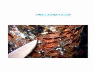 ¿PROCESO DE ANODO Y CATODO?
 