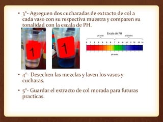 • 3°- Agreguen dos cucharadas de extracto de col a
cada vaso con su respectiva muestra y comparen su
tonalidad con la escala de PH.
• 4°- Desechen las mezclas y laven los vasos y
cucharas.
• 5°- Guardar el extracto de col morada para futuras
practicas.
 