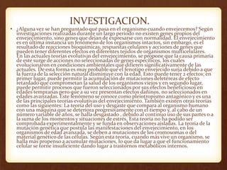 INVESTIGACION.
• ¿Alguna vez se han preguntado qué pasa en el organismo cuando envejecemos? Según
investigaciones realizadas durante un largo periodo no existen genes propios del
envejecimiento, sino genes que dejan de expresarse con normalidad. El envejecimiento
es en última instancia un fenómeno de los organismos intactos, sin embargo, es el
resultado de reacciones bioquímicas, respuestas celulares y acciones de genes que
pueden tener diferentes efectos en diferentes tejidos de organismos multicelulares.
En las actuales teorías evolutivas del envejecimiento, se propone que la causa primaria
de este surge de acciones no seleccionadas de genes específicos, los cuales
evolucionaron en condiciones ambientales que difieren significativamente de las
actuales. De esta forma es muy probable que el fenotipo envejecido surja debido a que
la fuerza de la selección natural disminuye con la edad. Esto puede tener 2 efectos; en
primer lugar, puede permitir la acumulación de mutaciones deletéreas de efecto
retardado que comprometan la salud de los organismos viejos y en segundo lugar,
puede permitir procesos que fueron seleccionados por sus efectos beneficiosos en
edades tempranas pero que a su vez presentan efectos dañinos, no seleccionados en
edades avanzadas. Este fenómeno se conoce como pleiotropismo antagónico y es una
de las principales teorías evolutivas del envejecimiento. También existen otras teorías
como las siguientes: La teoría del uso y desgaste que compara al organismo humano
con una máquina que se deteriora progresivamente con el tiempo y, al cabo de un
número variable de años, se halla desgastado , debido al continuo uso de sus partes o a
la suma de los momentos y situaciones de estrés. Esta teoría no ha podido ser
comprobada experimentalmente y se funda en observaciones aisladas. La teoría de la
mutación genética que postula las manifestaciones del envejecimiento, en los
organismos de edad avanzada, se deben a mutaciones de los cromosomas o del
material genético de las células. Según esta teoría, cuando más vive un organismo, se
halla más propenso a acumular mutaciones, lo que da lugar a que el funcionamiento
celular se torne insuficiente dando lugar a trastornos metabólicos internos.
 