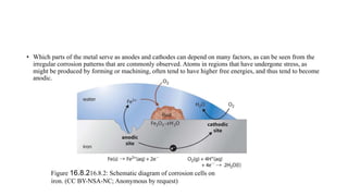 • Which parts of the metal serve as anodes and cathodes can depend on many factors, as can be seen from the
irregular corrosion patterns that are commonly observed. Atoms in regions that have undergone stress, as
might be produced by forming or machining, often tend to have higher free energies, and thus tend to become
anodic.
Figure 16.8.216.8.2: Schematic diagram of corrosion cells on
iron. (CC BY-NSA-NC; Anonymous by request)
 