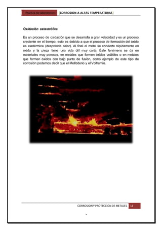Practica de laboratorio1 [CORROSION A ALTAS TEMPERATURAS]
CORROSION Y PROTECCION DE METALES 11
-
Oxidación catastrófica
Es un proceso de oxidación que se desarrolla a gran velocidad y es un proceso
creciente en el tiempo, esto es debido a que el proceso de formación del óxido
es exotérmica (desprende calor). Al final el metal se convierte rápidamente en
óxido y la pieza tiene una vida útil muy corta. Éste fenómeno se da en
materiales muy porosos, en metales que formen óxidos volátiles o en metales
que formen óxidos con bajo punto de fusión, como ejemplo de este tipo de
corrosión podemos decir que el Molibdeno y el Volframio.
 