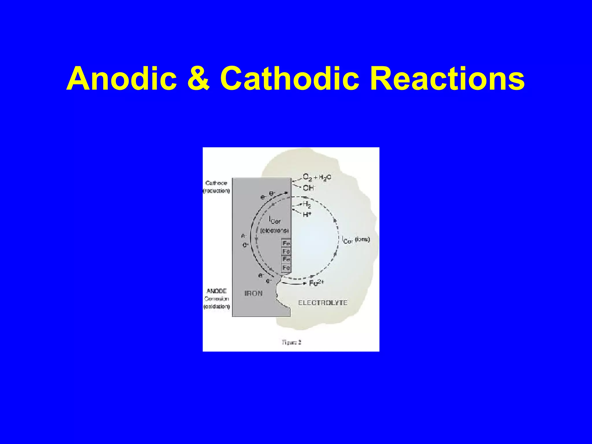 Anodic & Cathodic Reactions 