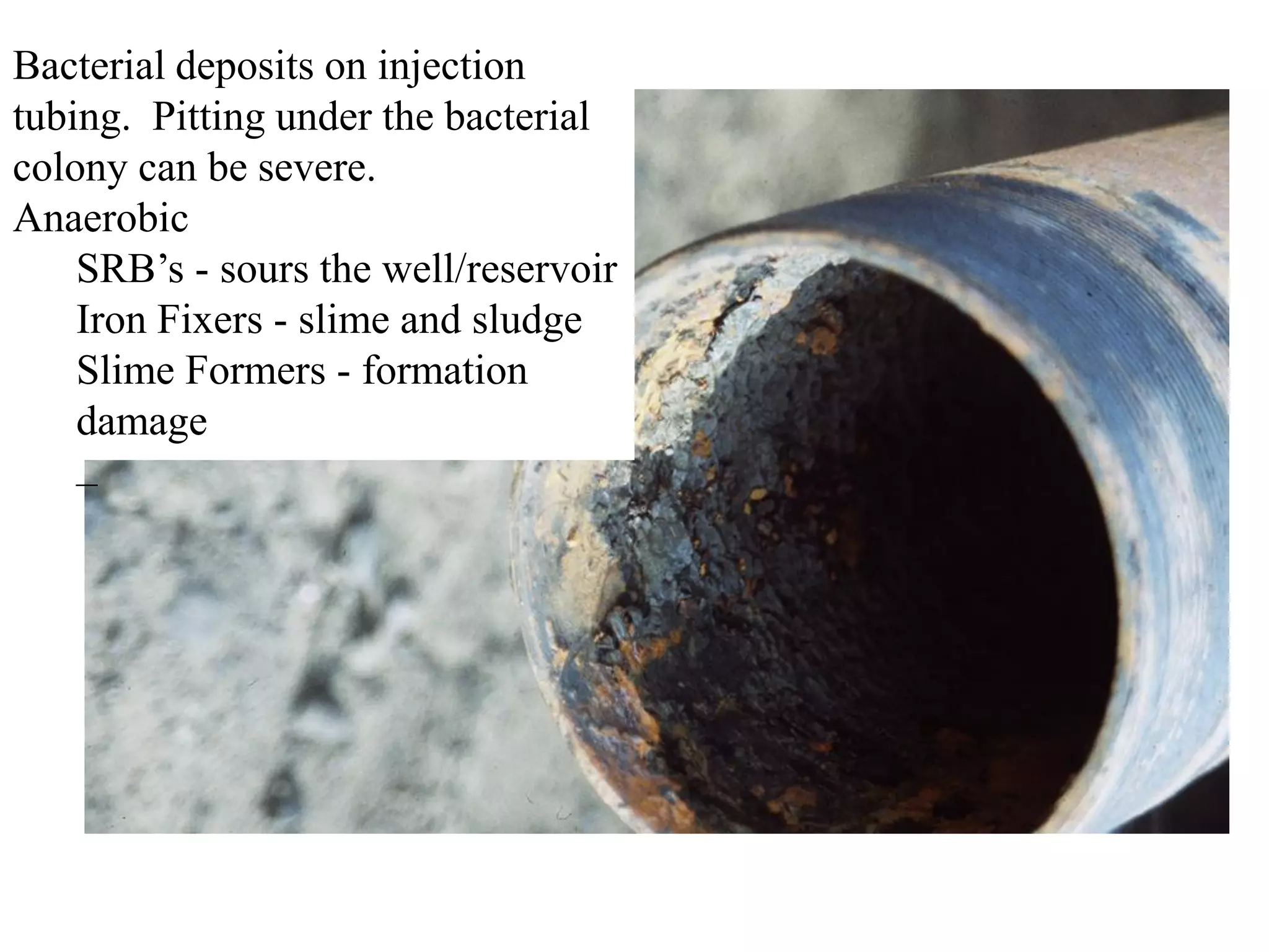 Bacterial deposits on injection
tubing. Pitting under the bacterial
colony can be severe.
Anaerobic
SRB’s - sours the well/reservoir
Iron Fixers - slime and sludge
Slime Formers - formation
damage
–
 