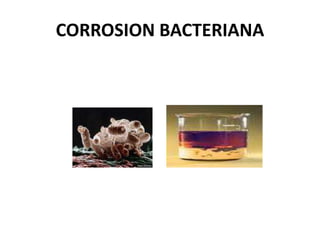 CORROSION BACTERIANA 
 