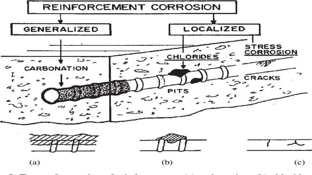 corrosion of Steel Reinforcement in concrete by Mr Sukriti Dan.pptx