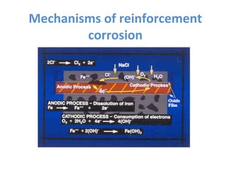 Corrosion of steel structure (group 4) | PPT