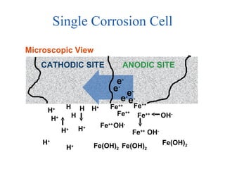 Single Corrosion Cell Fe ++ Fe ++ Fe ++ Fe ++ Fe ++ OH - OH - OH - Fe(OH) 2 Fe(OH) 2 Fe(OH) 2 H + H + H + H + H + H + H + H H H CATHODIC SITE ANODIC SITE e - e - e - e - e - Fe ++ Microscopic View 