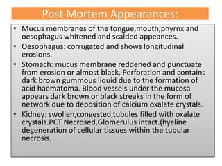 Post Mortem Appearances:
• Mucus membranes of the tongue,mouth,phyrnx and
oesophagus whitened and scalded appeances.
• Oesophagus: corrugated and shows longitudinal
erosions.
• Stomach: mucus membrane reddened and punctuate
from erosion or almost black, Perforation and contains
dark brown gummous liquid due to the formation of
acid haematoma. Blood vessels under the mucosa
appears dark brown or black streaks in the form of
network due to deposition of calcium oxalate crystals.
• Kidney: swollen,congested,tubules filled with oxalate
crystals.PCT Necrosed,Glomerulus intact.(hyaline
degeneration of cellular tissues within the tubular
necrosis.
 