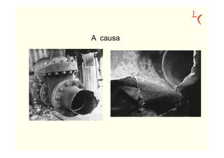 A causa
 