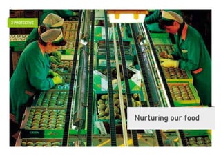 2 PROTECTIVE




               Nurturing our food
 