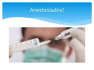 Anestesiados?
 