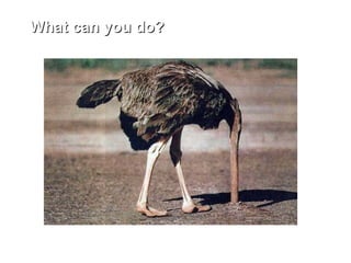 What can you do?What can you do?
 