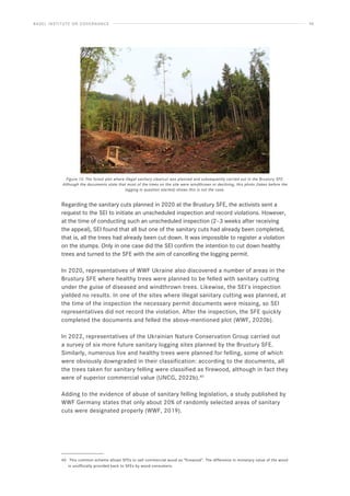BASEL INSTITUTE ON GOVERNANCE 46
Figure 13: The forest plot where illegal sanitary clearcut was planned and subsequently carried out in the Brustury SFE.
Although the documents state that most of the trees on the site were windthrown or declining, this photo (taken before the
logging in question started) shows this is not the case.
Regarding the sanitary cuts planned in 2020 at the Brustury SFE, the activists sent a
request to the SEI to initiate an unscheduled inspection and record violations. However,
at the time of conducting such an unscheduled inspection (2–3 weeks after receiving
the appeal), SEI found that all but one of the sanitary cuts had already been completed,
that is, all the trees had already been cut down. It was impossible to register a violation
on the stumps. Only in one case did the SEI confirm the intention to cut down healthy
trees and turned to the SFE with the aim of cancelling the logging permit.
In 2020, representatives of WWF Ukraine also discovered a number of areas in the
Brustury SFE where healthy trees were planned to be felled with sanitary cutting
under the guise of diseased and windthrown trees. Likewise, the SEI’s inspection
yielded no results. In one of the sites where illegal sanitary cutting was planned, at
the time of the inspection the necessary permit documents were missing, so SEI
representatives did not record the violation. After the inspection, the SFE quickly
completed the documents and felled the above-mentioned plot (WWF, 2020b).
In 2022, representatives of the Ukrainian Nature Conservation Group carried out
a survey of six more future sanitary logging sites planned by the Brustury SFE.
Similarly, numerous live and healthy trees were planned for felling, some of which
were obviously downgraded in their classification: according to the documents, all
the trees taken for sanitary felling were classified as firewood, although in fact they
were of superior commercial value (UNCG, 2022b).40
Adding to the evidence of abuse of sanitary felling legislation, a study published by
WWF Germany states that only about 20% of randomly selected areas of sanitary
cuts were designated properly (WWF, 2019).
40 This common scheme allows SFEs to sell commercial wood as “firewood”. The difference in monetary value of the wood
is unofficially provided back to SFEs by wood consumers.
 