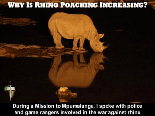 They were frustrated. With over 1000 rhinos killed in South Africa during
2013 this even surpassed 2012's shocking 668 rhi...