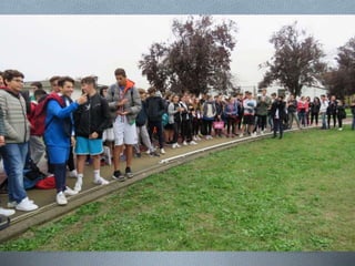 Corsa campestre