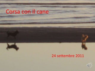 CORSA CON IL CANE Corsa con il cane 24/9/2011 UDINE  24 settembre 2011 