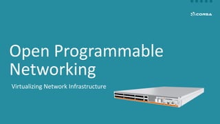 Virtualizing Network Infrastructure
Open Programmable
Networking
 