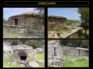CORSE DIVERS
 