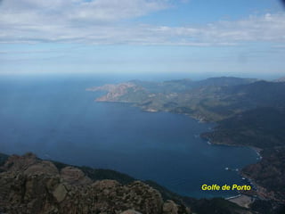 Golfe de Porto
 