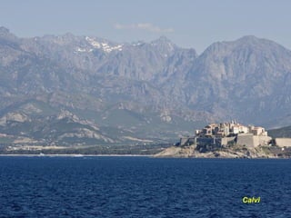 Calvi
 