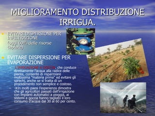 MIGLIORAMENTO DISTRIBUZIONE IRRIGUA. EVITARE DISPERSIONE PER INFILTRAZIONE (oggi 60% delle risorse captate) EVITARE DISPERSIONE PER EVAPORAZIONE  L'IRRIGAZIONE A GOCCIA , che conduce direttamente l'acqua alla radice delle piante, consente di risparmiare moltissima "materia prima" ed evitare gli sprechi, anche se si tratta di un procedimento non semplice e costoso.  In molti paesi l’esperienza dimostra che gli agricoltori passati dall’irrigazione con impianti automatici a pioggia, ai sistemi a goccia hanno tagliato il loro consumo d’acqua dal 30 al 60 per cento. 
