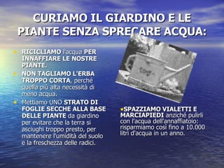 CURIAMO IL GIARDINO E LE PIANTE SENZA SPRECARE ACQUA: RICICLIAMO  l'acqua  PER INNAFFIARE LE NOSTRE PIANTE.  NON TAGLIAMO L'ERBA TROPPO CORTA , perché quella più alta necessità di meno acqua. Mettiamo UNO  STRATO DI FOGLIE SECCHE ALLA BASE DELLE PIANTE  da giardino per evitare che la terra si asciughi troppo presto, per mantenere l'umidità del suolo e la freschezza delle radici.  SPAZZIAMO VIALETTI E MARCIAPIEDI  anziché pulirli con l'acqua dell'annaffiatoio: risparmiamo così fino a 10.000 litri d'acqua in un anno.   