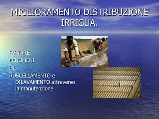 MIGLIORAMENTO DISTRIBUZIONE IRRIGUA. EVITARE FENOMENI DI RUSCELLAMENTO e DILAVAMENTO attraverso la manutenzione  