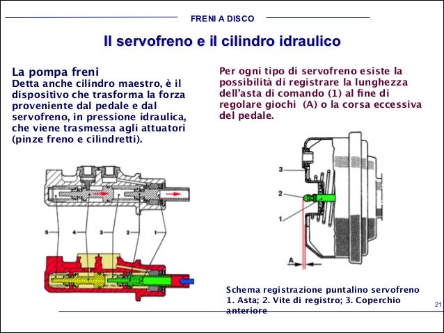 Laiuto di che aumentare una testa del membro