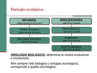 Periodo evolutivo

         INFANZIA
          INFANZIA                  ADOLESCENZA
                                    ADOLESCENZA
    (dalla nascita ai 9/10 anni)
     (dalla nascita ai 9/10 anni)     (dai 10 ai 19 anni)
                                       (dai 10 ai 19 anni)

       PRIMA INFANZIA
       PRIMA INFANZIA                PREPUBERALE
                                     PREPUBERALE
     (dalla nascita ai 4 anni)        ((dai 10 ai 13 anni)
                                       dai 10 ai 13 anni)
      (dalla nascita ai 4 anni)

    SECONDA INFANZIA                    PUBERALE
                                        PUBERALE
    SECONDA INFANZIA                  (dai 13 ai 15 anni)
         (dai 4 ai 10 anni)            (dai 13 ai 15 anni)
          (dai 4 ai 10 anni)

                                    POST PUBERALE
                                    POST PUBERALE
                                      (dai 16 ai 19 anni)
                                       (dai 16 ai 19 anni)

OROLOGIO BIOLOGICO: determina la nostra evoluzione
e involuzione.
Non sempre l’età biologica ( sviluppo auxologico),
corrisponde a quella cronologica.
 