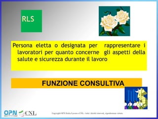 Persona eletta o designata per rappresentare i
lavoratori per quanto concerne gli aspetti della
salute e sicurezza durante il lavoro
FUNZIONE CONSULTIVA
 