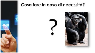Cosa fare in caso di necessità? 
 