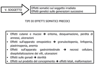 V. SOGGETTO Effetti somatici sul soggetto irradiato Effetti genetici sulle generazioni successive TIPI DI EFFETTI SOMATICI PRECOCI  Effetti cutanei e mucosi    eritema, desquamazione, perdita di annessi, ulcerazioni Effetti sull'apparato emopoietico    granulocitopenia, linfopenia, piastrinopenia, anemia Effetti sull'apparato gastrointestinale    necrosi cellulare, disepitelializzazione dei villi, ulcerazioni Effetti sulle gonadi    sterilità  Effetti sul prodotto del concepimento    effetti letali, malformazioni 