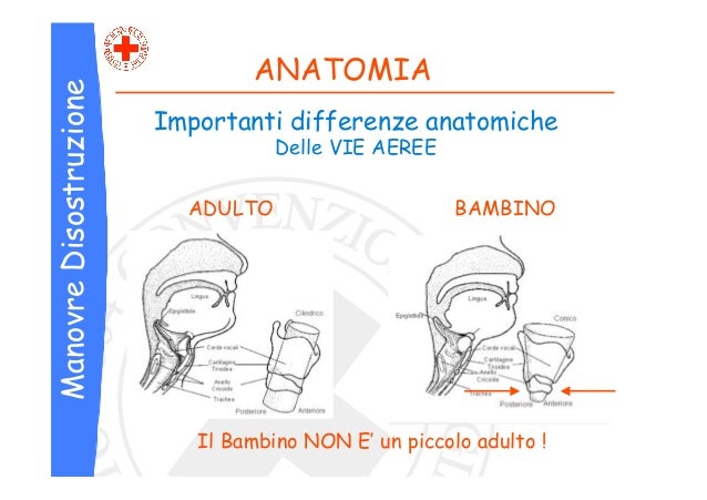 Corso disostruzione pediatrica_cri