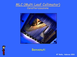 MLC (Multi Leaf Collimator)
      Caratterizzazione




         Benvenuti
                          RT Biella, febbraio 2003
 