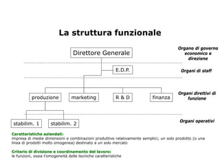 La struttura funzionale
                                                                                      Organo di governo
                                  Direttore Generale                                     economico e
                                                                                          direzione

                                                          E.D.P.                        Organi di staff




                                                                                       Organi direttivi di
           produzione            marketing                R&D            finanza           funzione




                                                                                       Organi operativi
stabilim. 1           stabilim. 2

Caratteristiche aziendali:
impresa di medie dimensioni e combinazioni produttive relativamente semplici; un solo prodotto (o una
linea di prodotti molto omogenea) destinato a un solo mercato

Criterio di divisione e coordinamento del lavoro:
le funzioni, ossia l’omogeneità delle tecniche caratteristiche
 