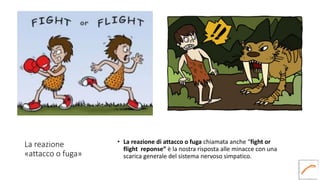 La reazione
«attacco o fuga»
• La reazione di attacco o fuga chiamata anche “fight or
flight reponse” è la nostra risposta alle minacce con una
scarica generale del sistema nervoso simpatico.
 