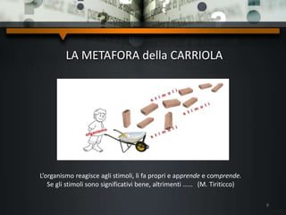 LA METAFORA della CARRIOLA
9
L’organismo reagisce agli stimoli, li fa propri e apprende e comprende.
Se gli stimoli sono significativi bene, altrimenti …… (M. Tiriticco)
 