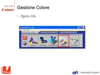 Gestione Colore Spot-On 